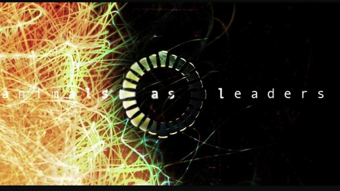 用python写后端的多还是用go写后端的？